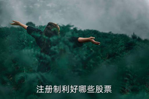 什么股票注冊制，IPO注冊制是什么意思