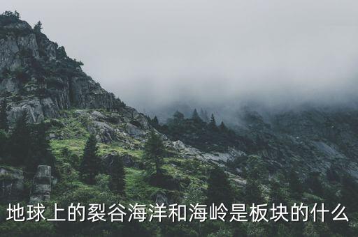 誠益通屬于什么板塊，地球上的裂谷海洋和海嶺是板塊的什么