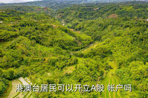 移民要怎么開(kāi)a股帳戶(hù)
