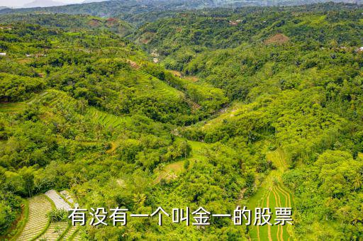 金一文化為什么停牌，金一文化什么時候復牌