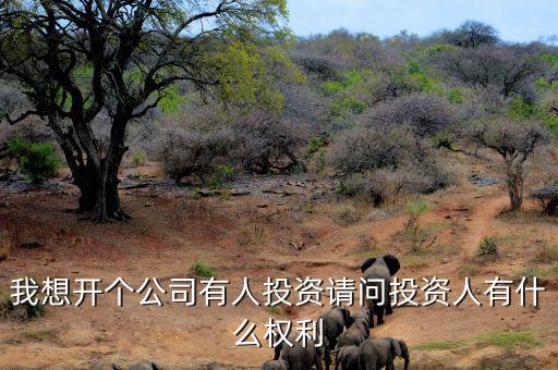 投資人最核心的優(yōu)先權(quán)是什么，投資人最關(guān)心哪三大核心問題