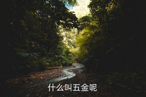 什么叫一市五金多套餐，知不知道招聘里說的 五金齊全是指什么