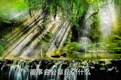 什么是董事會印章，完美國際魔方董事會印章有什么用