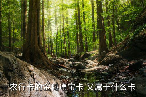 農行叫號Q字頭是什么卡，農行卡叫什么卡
