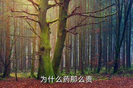 為什么藥價(jià)那么貴，醫(yī)藥費(fèi)為什么那么貴