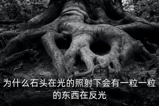 中金星石為什么這么差，為什么石頭在光的照射下會有一粒一粒的東西在反光