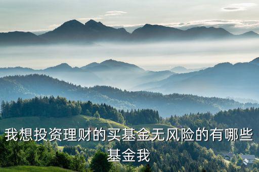 我想投資理財的買基金無風險的有哪些基金我