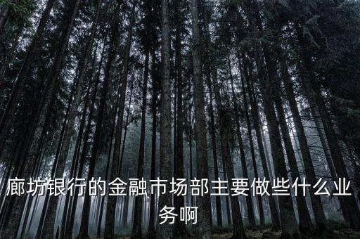 齊飛金融主營(yíng)什么業(yè)務(wù)，堅(jiān)固金融都有什么業(yè)務(wù)實(shí)力怎么樣