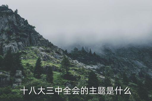 中全會(huì)講什么，七屆二中全會(huì)的主要內(nèi)容是什么啊