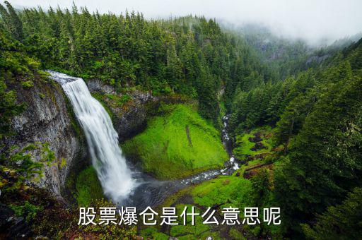股票爆倉是什么意思，股市中的爆倉是什么意思