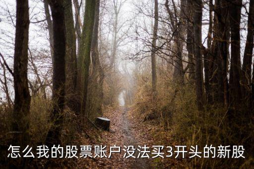怎么我的股票賬戶沒(méi)法買(mǎi)3開(kāi)頭的新股