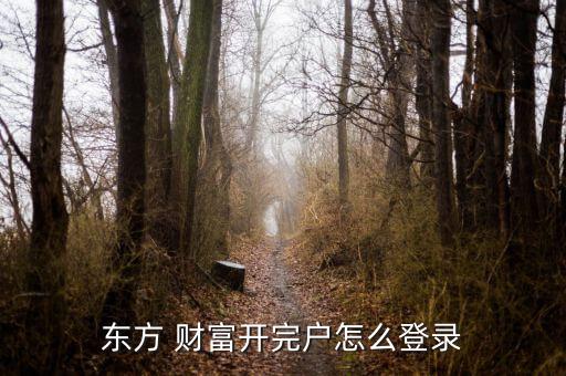 東方 財(cái)富開完戶怎么登錄