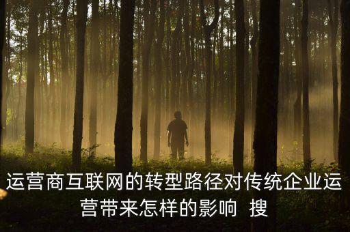 運(yùn)營(yíng)商互聯(lián)網(wǎng)的轉(zhuǎn)型路徑對(duì)傳統(tǒng)企業(yè)運(yùn)營(yíng)帶來怎樣的影響  搜