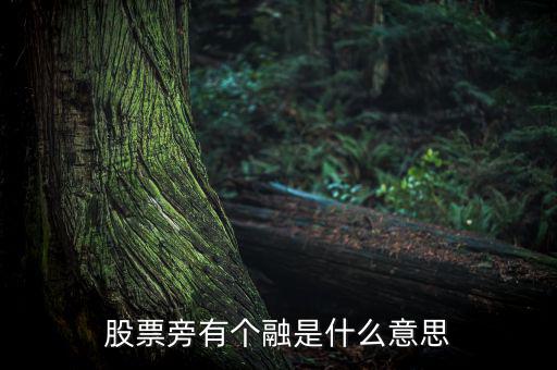 融買融賣是什么意思，股票旁有個融是什么意思