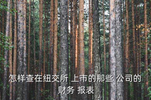 怎么查找上市公司的財務(wù)報表,登錄上交所a股直接點(diǎn)擊信息披露