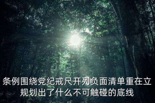 負(fù)面清單將不再提出什么，負(fù)面清單將不再提出  A關(guān)鍵項目 B阻礙項目 C禁止項目 D鼓勵項
