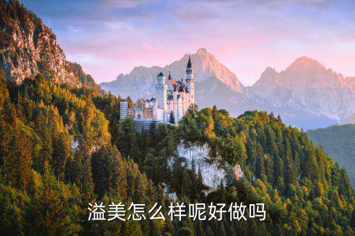 溢美金融做什么的，哪家保理公司的做的好