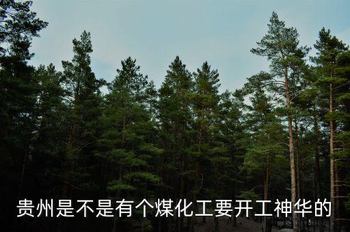 深圳尚榮在貴州有什么項目，深圳市尚榮醫(yī)療股份有限公司的介紹
