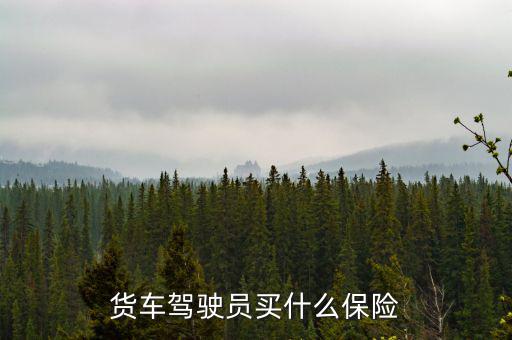 貨車司機(jī)買什么保險(xiǎn)好，大貨車買什么保險(xiǎn)最好