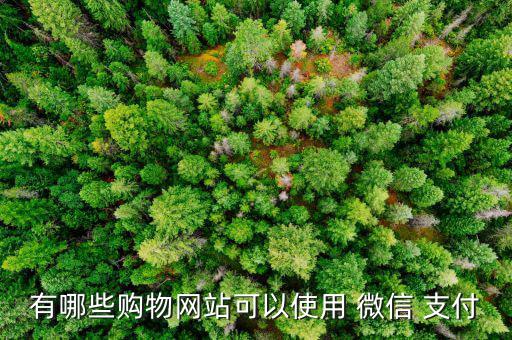 美麗說(shuō)怎么用微信支付,家樂福全國(guó)門店均已聯(lián)網(wǎng)微信支付