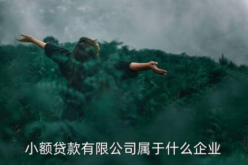 德善小額貸款是什么企業(yè)，德盛行小額貸款是不是真的