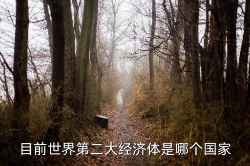 中國什么時(shí)候成為第二大經(jīng)濟(jì)體，中國成為世界第二大經(jīng)濟(jì)體是什么時(shí)候
