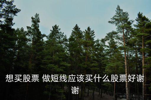 短線買什么股票好，散戶短線買哪些股票好