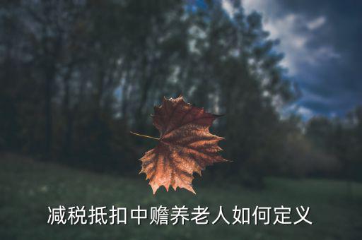 什么是減稅養(yǎng)老，減稅抵扣中贍養(yǎng)老人如何定義