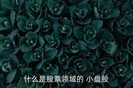 小盤(pán)股怎么炒,牛市選擇小盤(pán)股與中盤(pán)股比較優(yōu)勢(shì)在某一階段明確