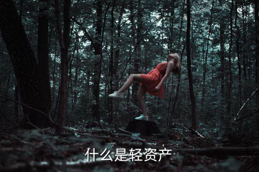 什么是輕資產
