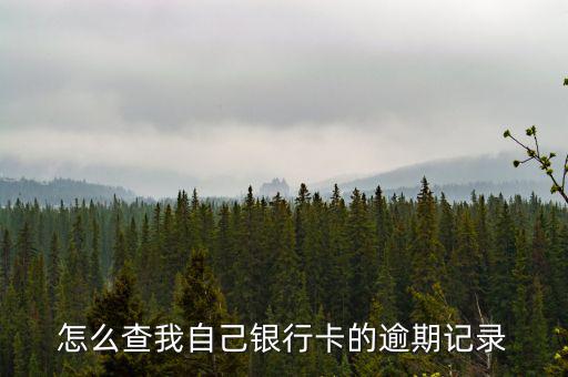 怎么查自己存檔費欠錢嗎