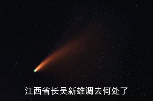 吳新雄什么時候退休，江西省長吳新雄調(diào)去何處了