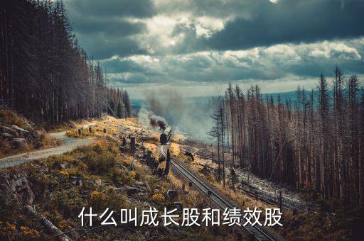 什么績效股票，什么叫成長股和績效股