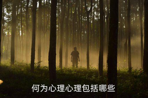 什么是心理層面，人的心理境界分幾個(gè)層次
