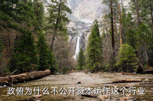 資本運(yùn)作為什么不公開，政俯為什么不公開資本運(yùn)作這個行業(yè)