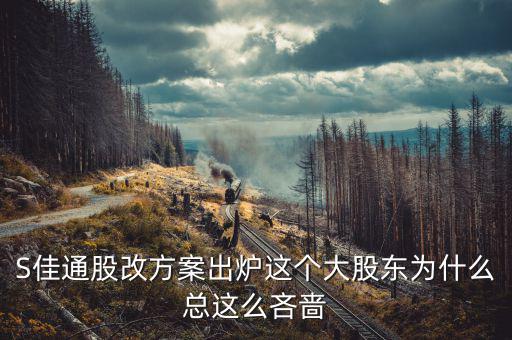 s佳通為什么不股改，s佳通的流通股這么少為什么不股改全流通