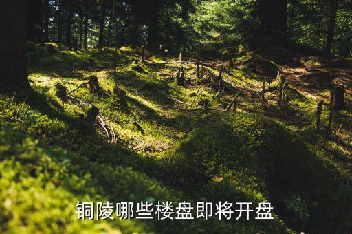 銅陵未來有什么大項目，未來銅陵會有六條鐵路嗎