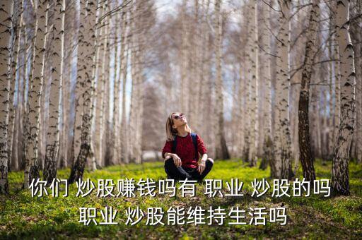 你們 炒股賺錢(qián)嗎有 職業(yè) 炒股的嗎 職業(yè) 炒股能維持生活嗎