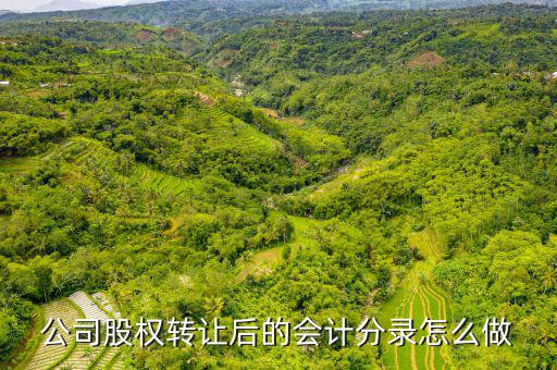 拆股怎么記賬,股東變更如何進(jìn)行會計(jì)分錄(1)