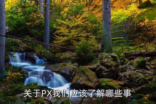 px項目是干什么的，關于PX我們應該了解哪些事