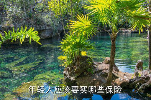 年輕人應(yīng)該要買(mǎi)哪些保險(xiǎn)