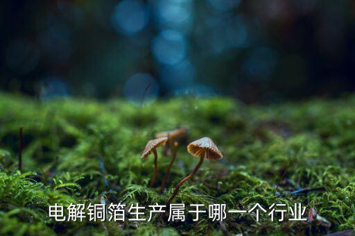 電子銅箔屬于什么行業(yè)，電解銅箔生產(chǎn)屬于哪一個行業(yè)