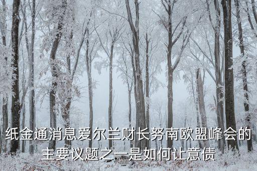 紙金通消息愛爾蘭財(cái)長(zhǎng)努南歐盟峰會(huì)的主要議題之一是如何讓意債