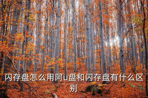 閃存盤(pán)怎么用阿u盤(pán)和閃存盤(pán)有什么區(qū)別