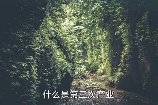 什么是三次產業(yè)融合，什么是產業(yè)融合