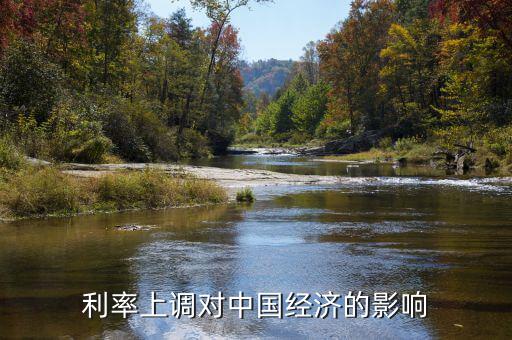利率上調對中國經(jīng)濟的影響