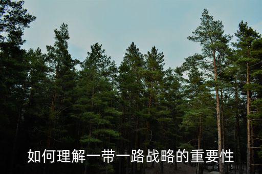 中國(guó)為什么要搞一帶一路，當(dāng)代國(guó)際社會(huì)的知識(shí)分析我國(guó)為什么要提出一帶一路的倡