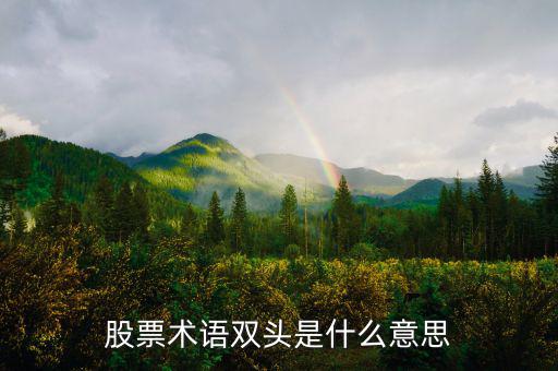 什么是大盤(pán)做雙頭，股票術(shù)語(yǔ)雙頭是什么意思