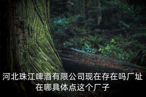 珠江啤酒為什么停牌，為什么市面上找不到珠江啤酒