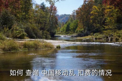 如何 查詢 中國移動(dòng)亂 扣費(fèi)的情況